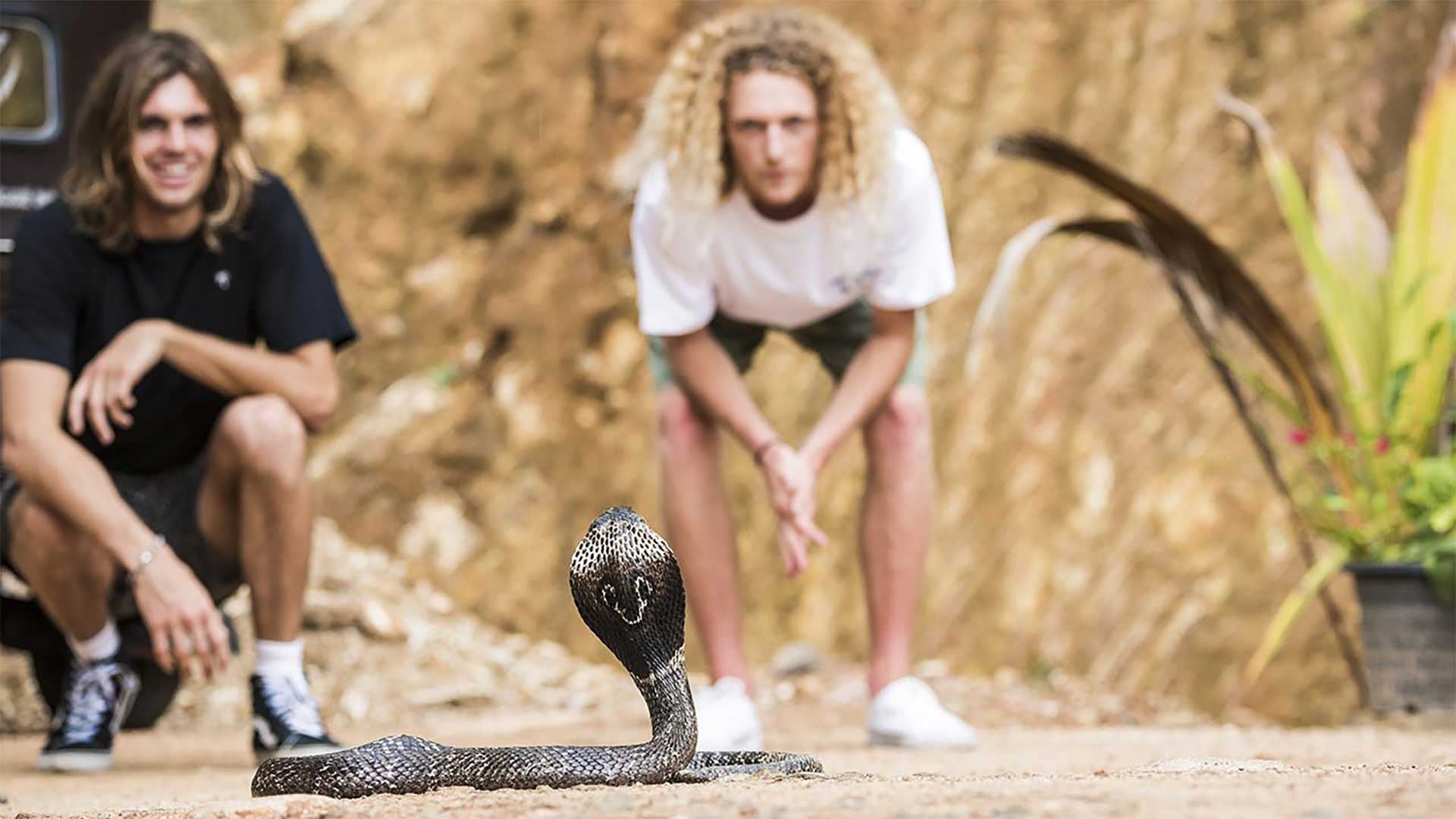 Louie and a snake