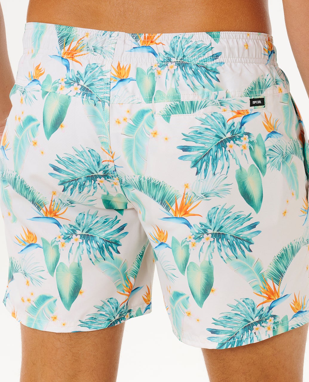 0ETMBO_0015_5_1759128936000