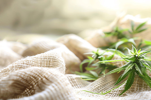 Linen and Hemp